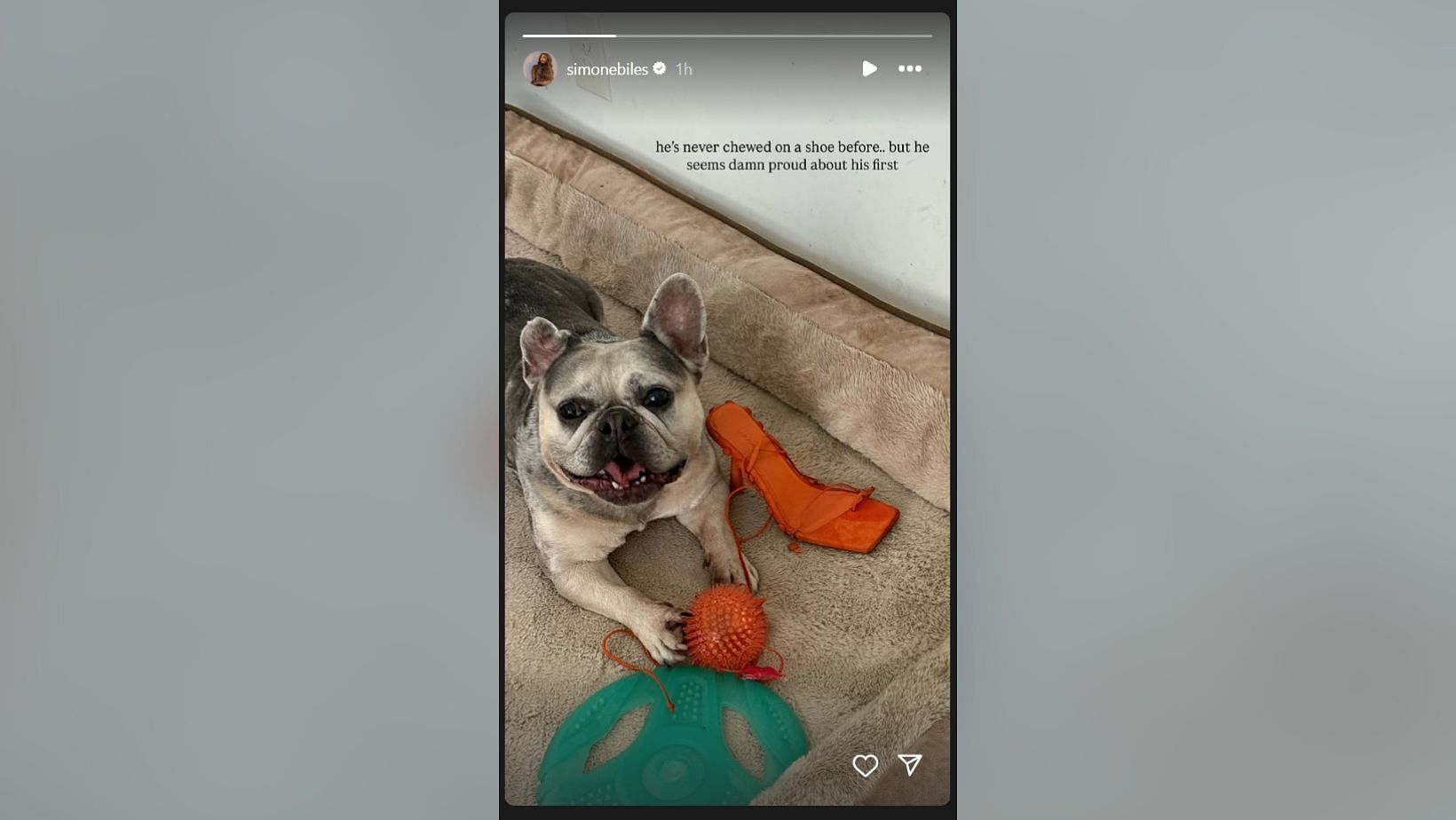 Simone Biles shares pet dog's 'dam proud' moment destroying her sandals (Image Credit: Biles/IG)